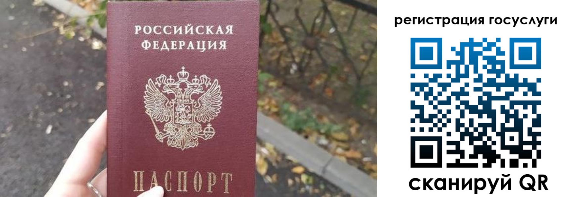 купить прописку в Протвино